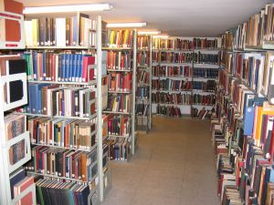 Bibliothek KP.jpg